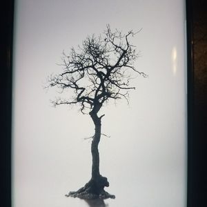 Meet your Posher, Whirley